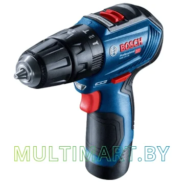 Ударная дрель-шуруповерт Bosch GSB 12V-30 Professional 06019G9120 (с 2-мя АКБ, кейс)